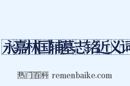 永嘉林国辅墓志铭近义词是什么意思的图片